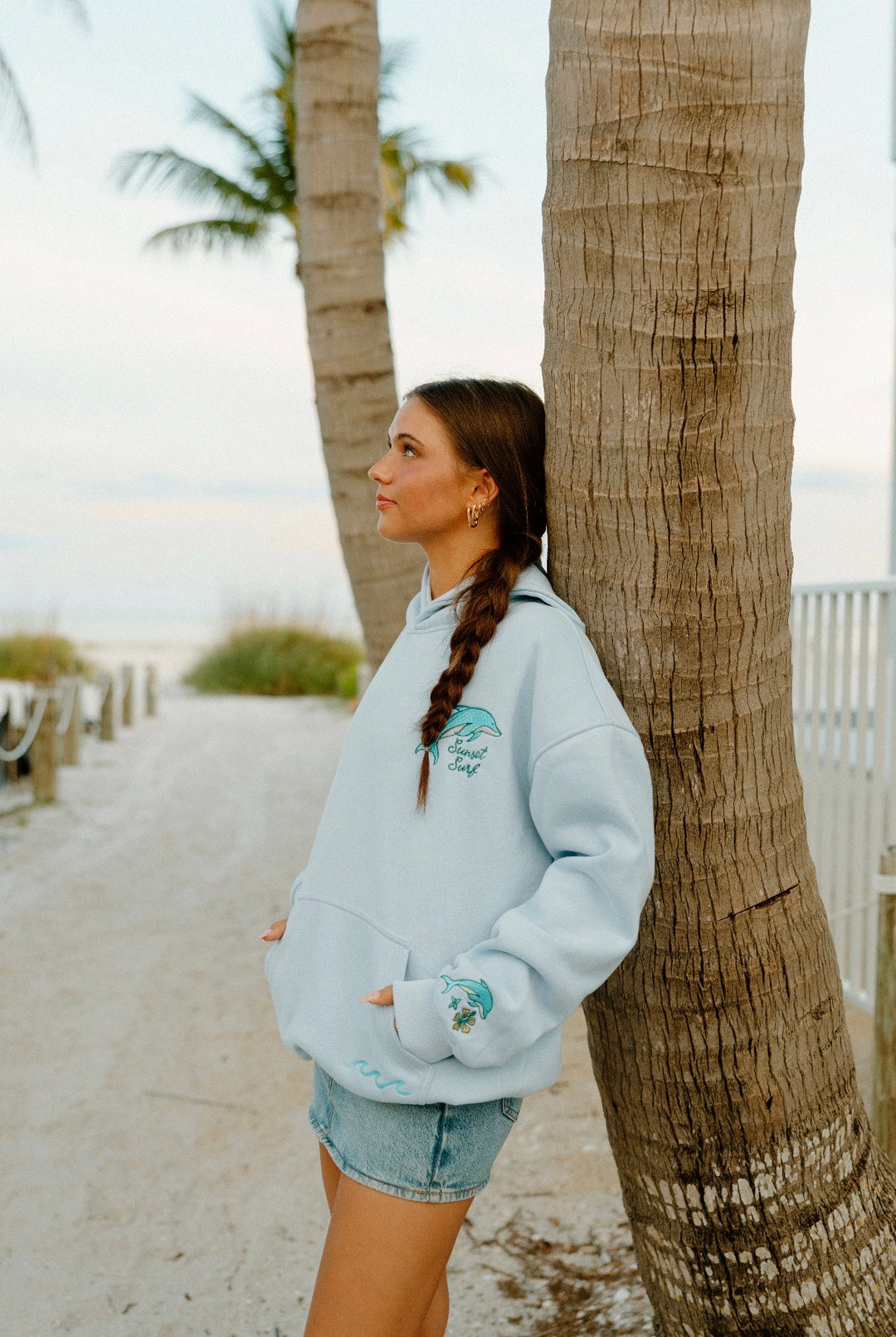 Dolphin Wave Hoodie